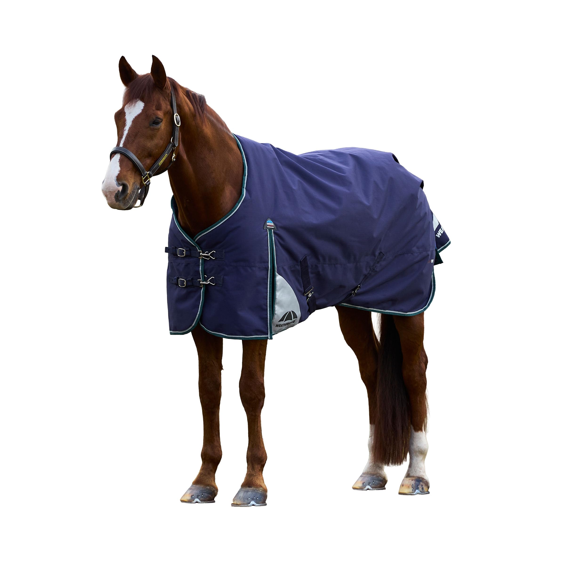 WeatherBeeta ComFiTec Plus Dynamic Turnout 100G, Navy/Forest Green, 6'6