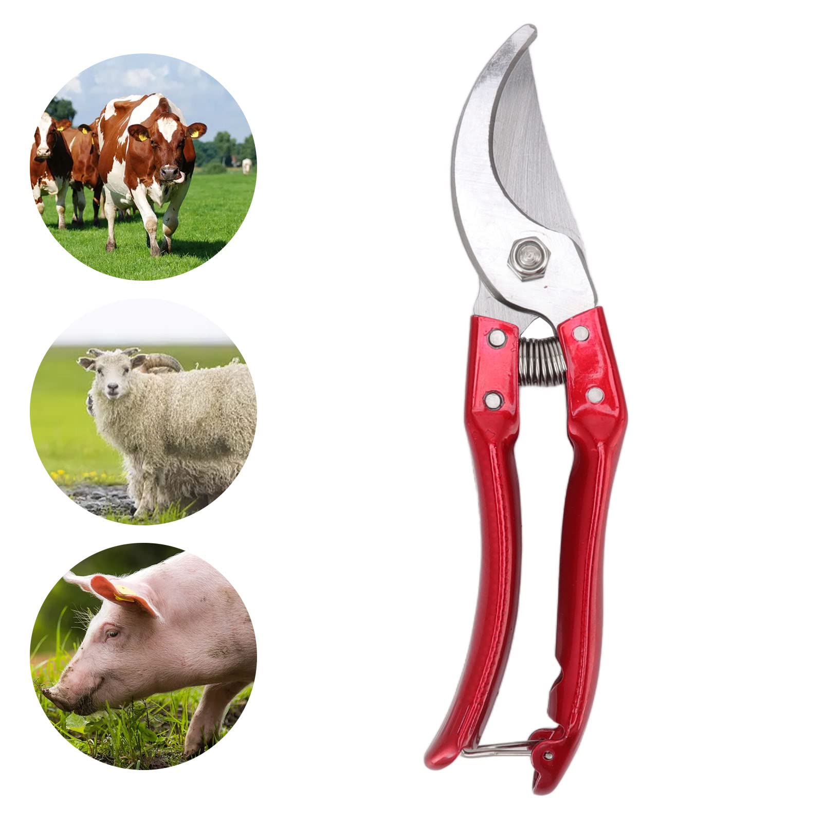 Kozoce Nożyce do Kopyt ze Stali Nierdzewnej, Ergonomiczne, dla Owiec, z Uchwytem, Czerwone