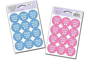 2 Sheets Gender Reveal Party Supplies Team Stickers