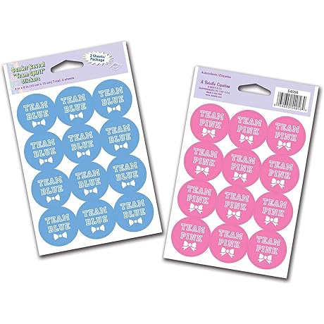 2 Sheets Gender Reveal Party Supplies Team Stickers