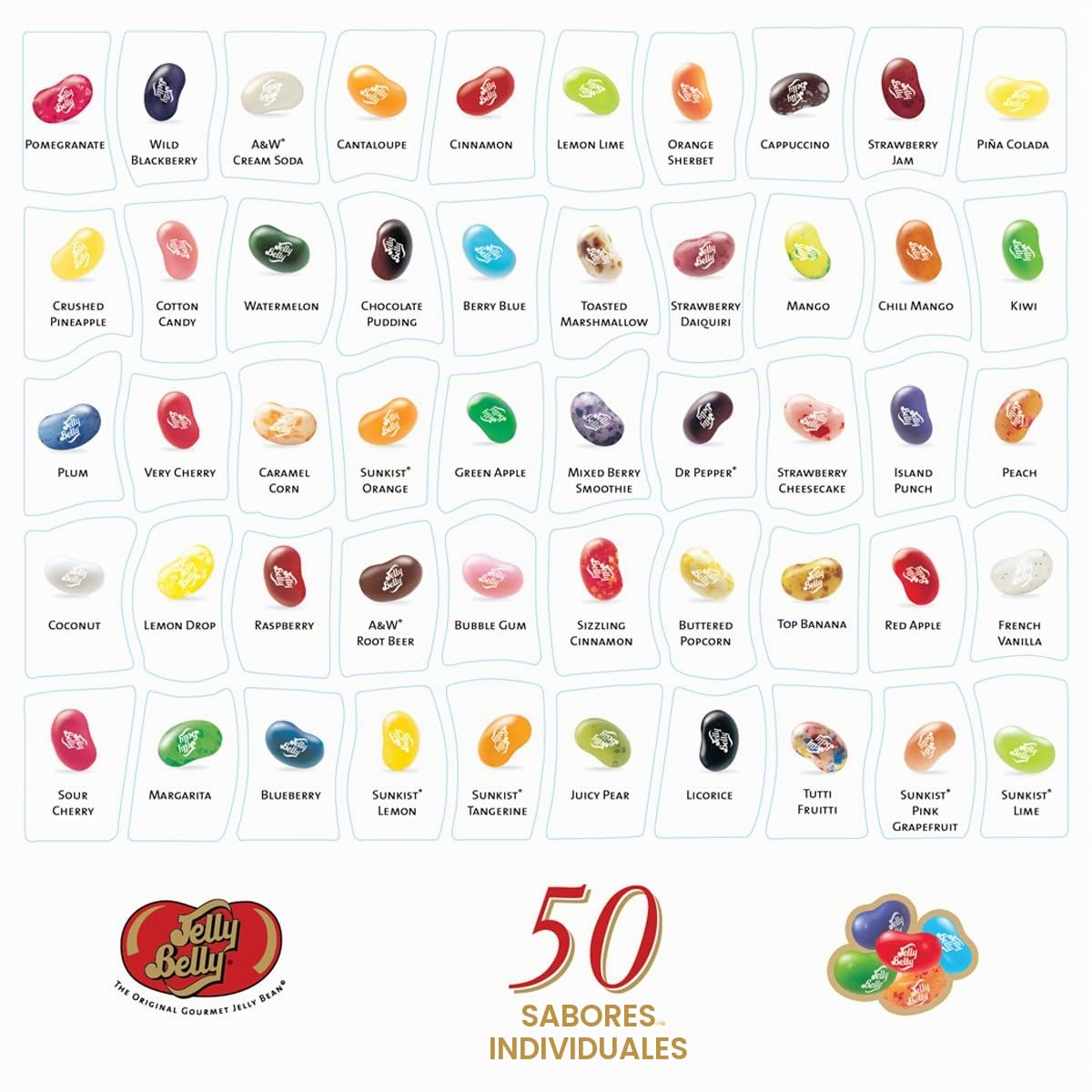 Jelly Belly Gold Classic - Caja de regalo de 50 sabores de 595 g