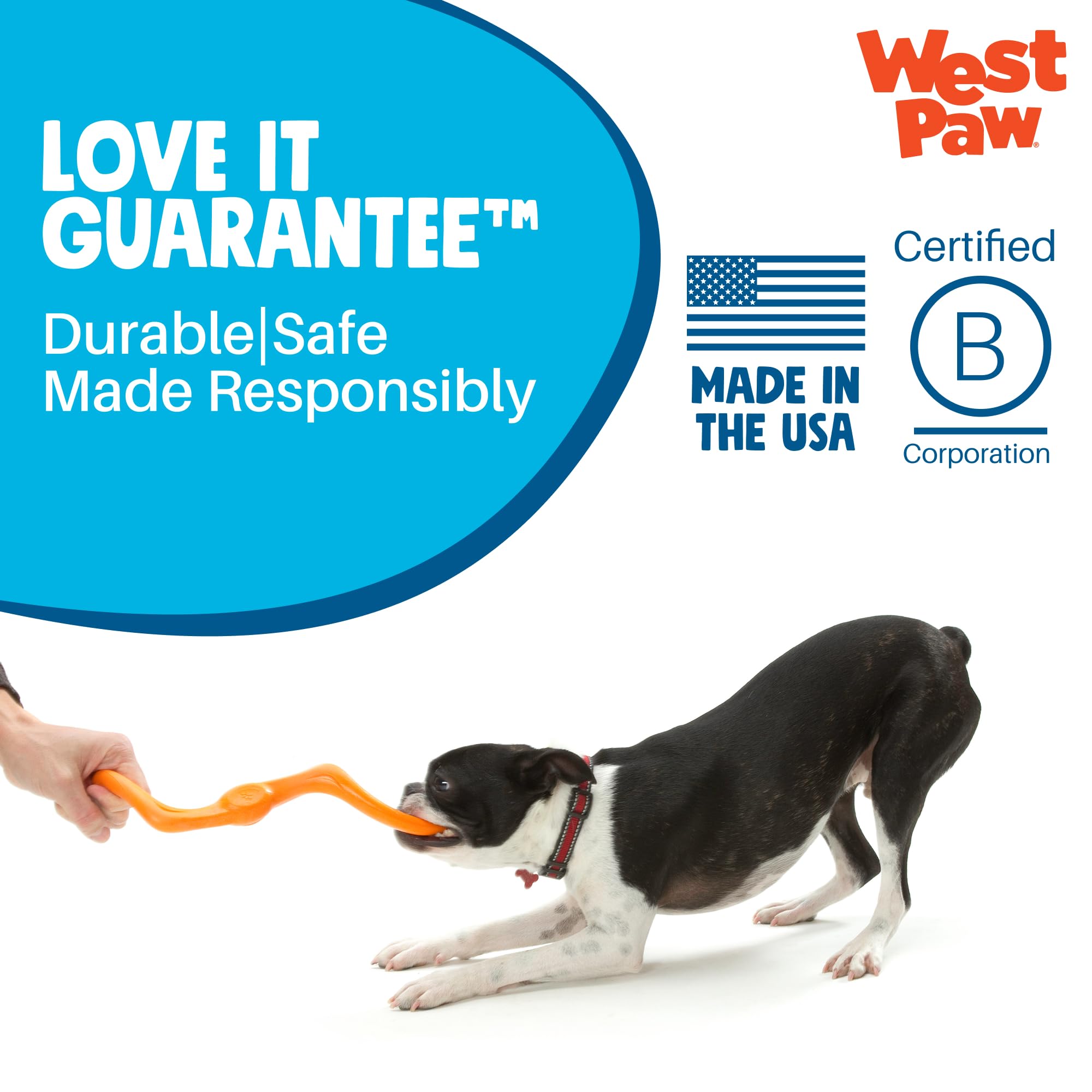 West Paw Bumi Large Aqua