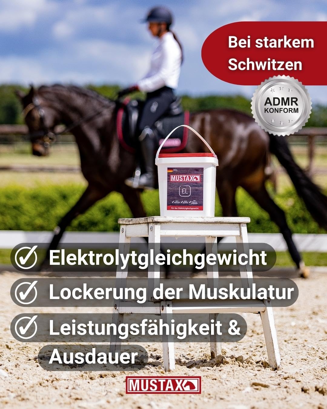 MUSTAX Elektrolyt -gleicht die Verluste von Elektrolyten beim Schwitzen aus und fördert so die Leistungsfähigkeit, Ausdauer & Gesundheit deines Pferdes, mit Tierernährungsexperten entwickelt (1 kg)