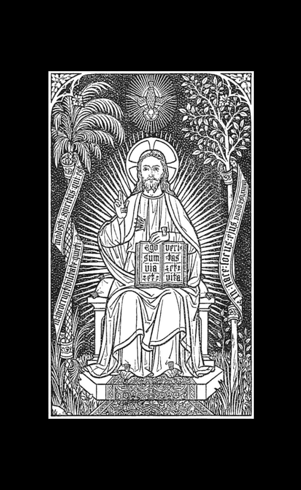 Novum Testamentum: The Latin New Testament of the Clementine Vulgate (Small Edition) (The Latin Vulgate Bible (Small Edition))