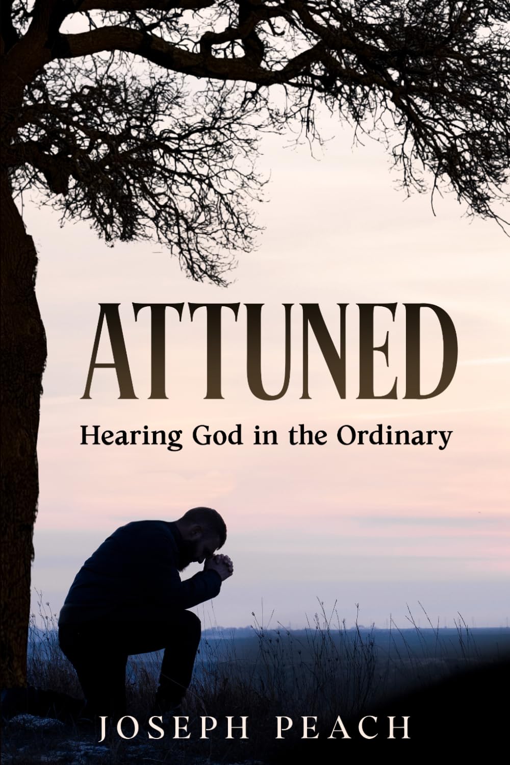 Attuned: Hearing God in the Ordinary