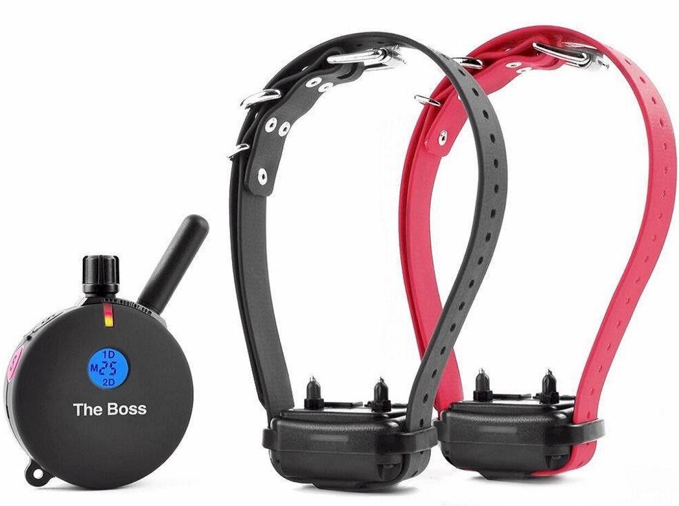 Educator E-Collar Humane Dog Training Collar with Remote, 100 Safe Tapping Stimulation Levels, Night Light, Waterproof, Rechargeable, 1 Mile 2 Large Dogs, Black