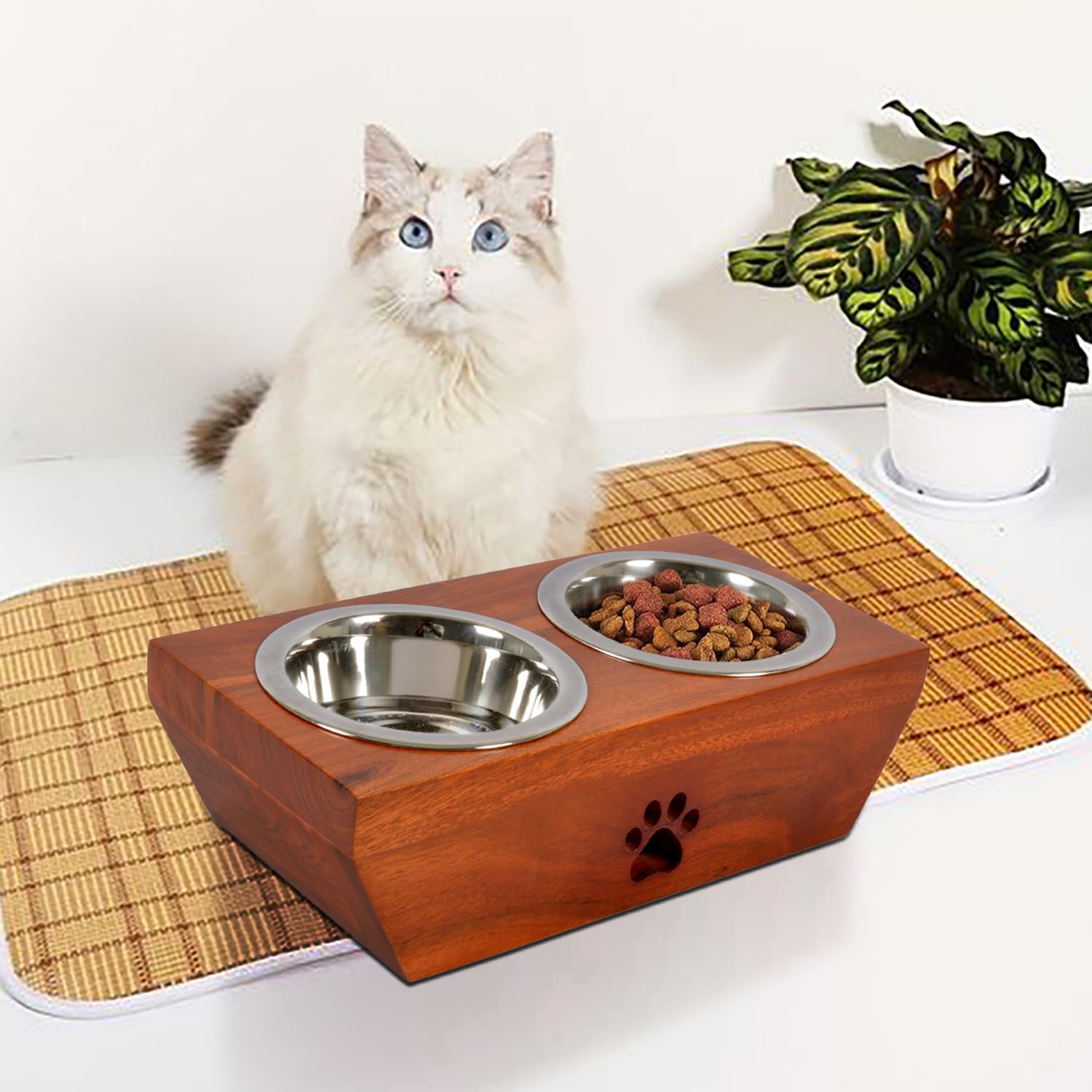 See full amazon price history chart for Pure Souls Oliver Pet Feeder, Natural Acacia Wood Feeders Stand, Elevated Cat Bowls 250 ml, Food Water Diner, Durable Double Bowl Feeding Stands for Cats - Small (31 x 15 x 9 cm) Pure Souls Oliver Pet Feeder, Natural Acacia Wood Feeders Stand, Elevated Cat Bowls 250 ml, Food Water Diner, Durable Double Bowl Feeding Stands for Cats - Small (31 x 15 x 9 cm) (B0D3HTLJZV) Amazon Price History, Amazon Price Tracker