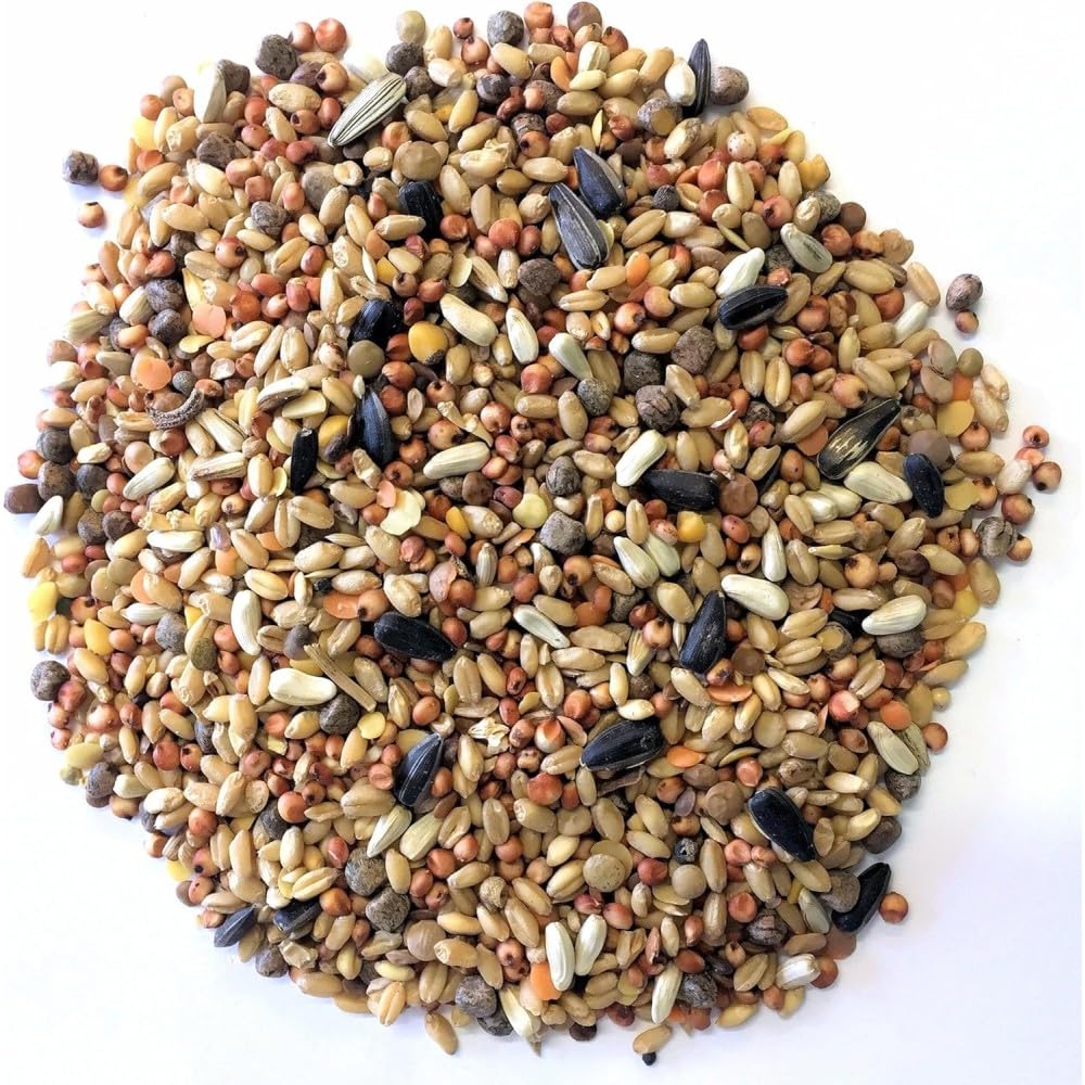 Alimento Completo para Perdices y Gallináceas, Mezcla de Semillas Naturales, 25 Kg
