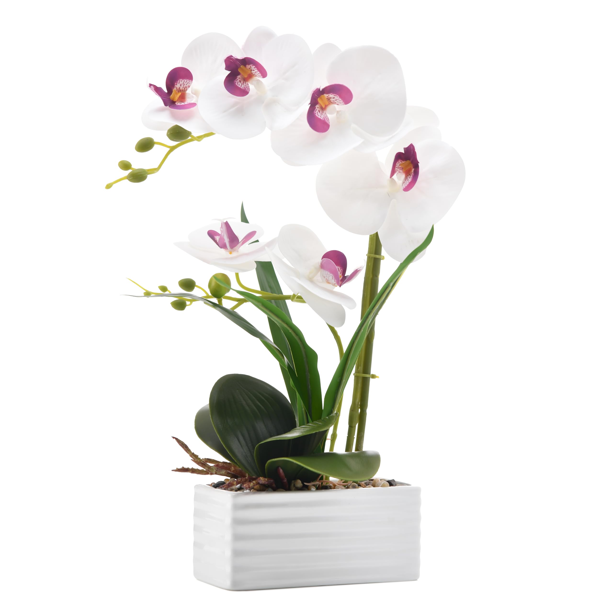 Amazon.com: FuleHouzz Artificial Real Touch Orchid Flowers in Pot
