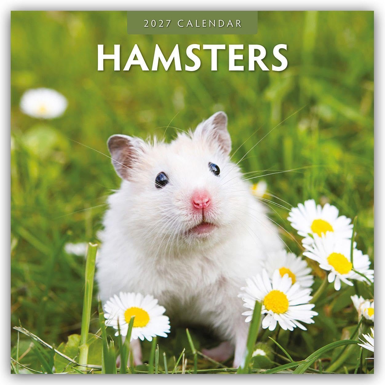 Hamsters 2027 Square Wall Calendar: Original Red Robin Publishing Ltd-Kalender [Mehrsprachig] [Kalender]