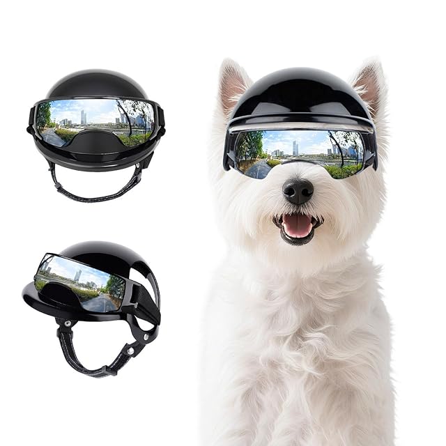 Foto 5 de 8 de Juego de casco y gafas protectoras ajustables para perros para actividades activas al aire libre