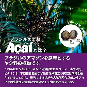 【メルカリ最安値】フルッタフルッタ　業務用冷凍アサイーピューレ1kg✖︎14個 Amazon | フルッタフルッタ 冷凍 アサイー 加糖 ピューレ 1kg 業務用