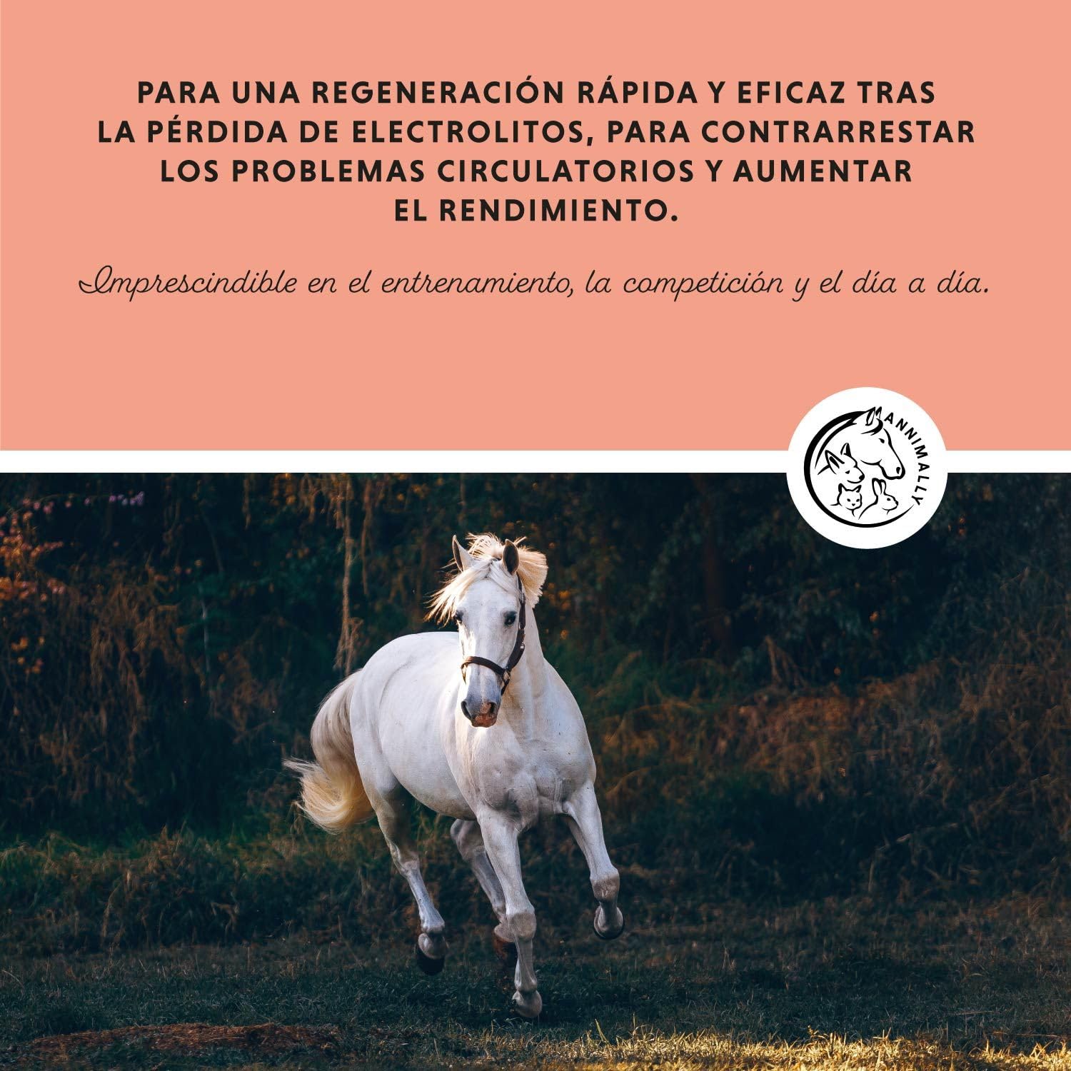 Annimally Electrolitos Líquidos para Caballos 1000ml con Sodio, Potasio, Acerola, Calcio, Magnesio y Vitamina B líquida - Electrolitos Líquidos sin azúcares añadidos.