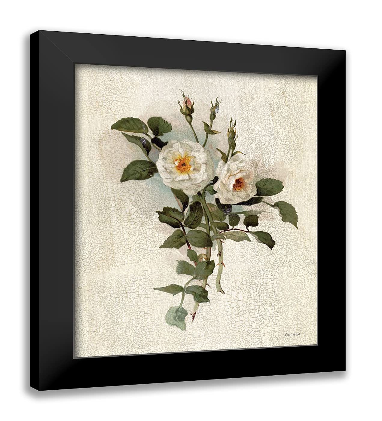 ArtDirect Stellar Design Studio 20x24 Black Modern Framed Art Print Titled: White Roses
