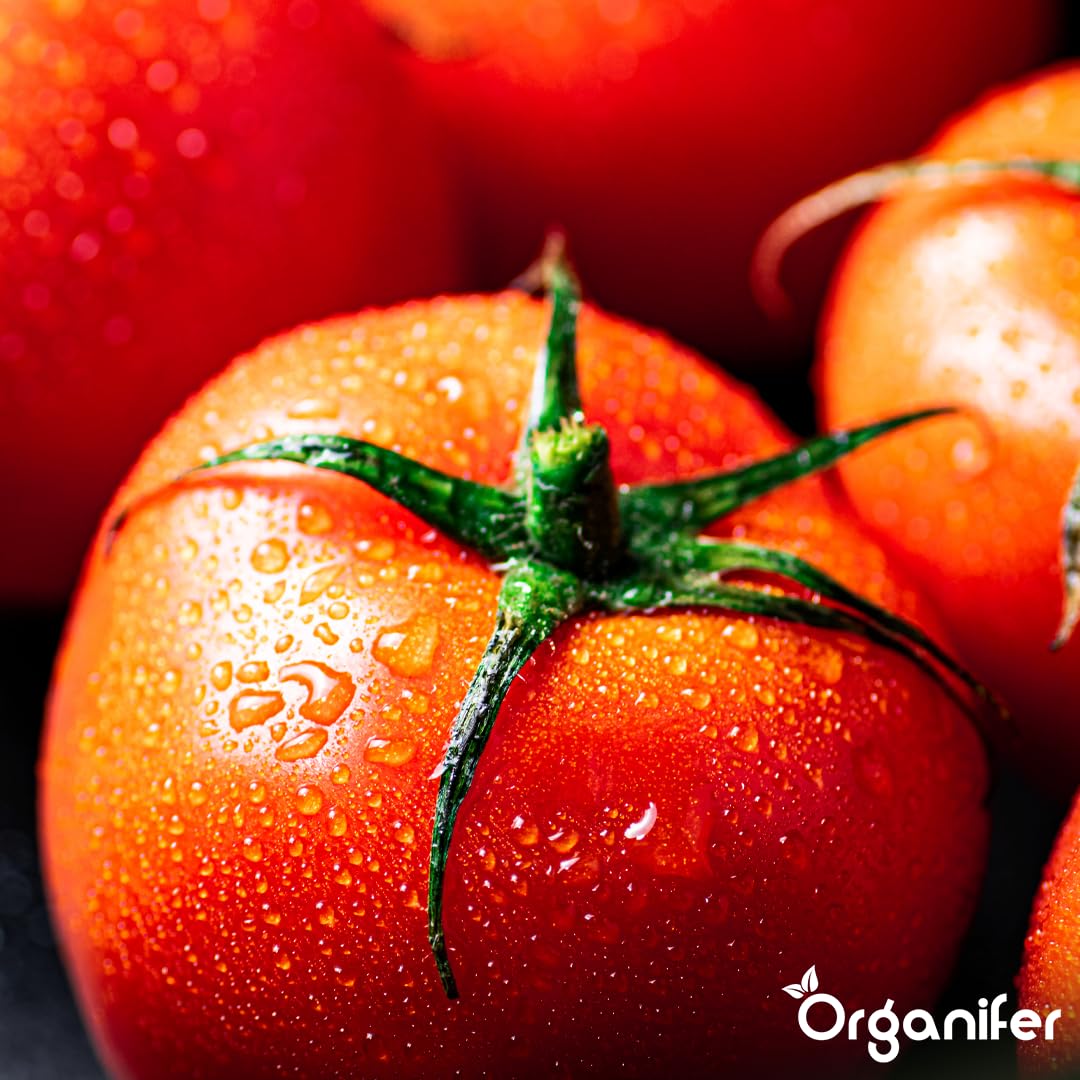 Płynny Nawóz Do Pomidorów 2L – Organiczny, Silne Korzenie I Zdrowe Liście – Organifer