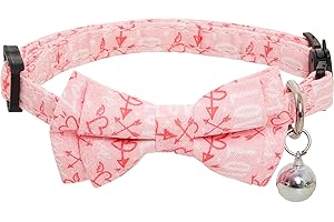Charming Valentine's Day Collar for Cats