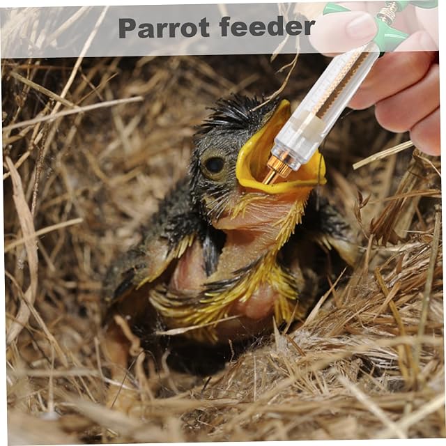 Foto 3 de 7 de Licsaliwe Kit de alimentación para pájaros bebés con jeringa y cucharas