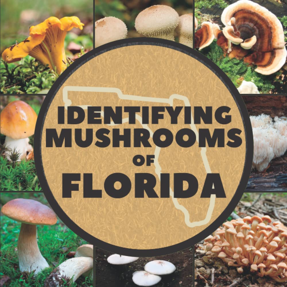 Buy Identifying Mushrooms of Florida A Simple Identification Guide