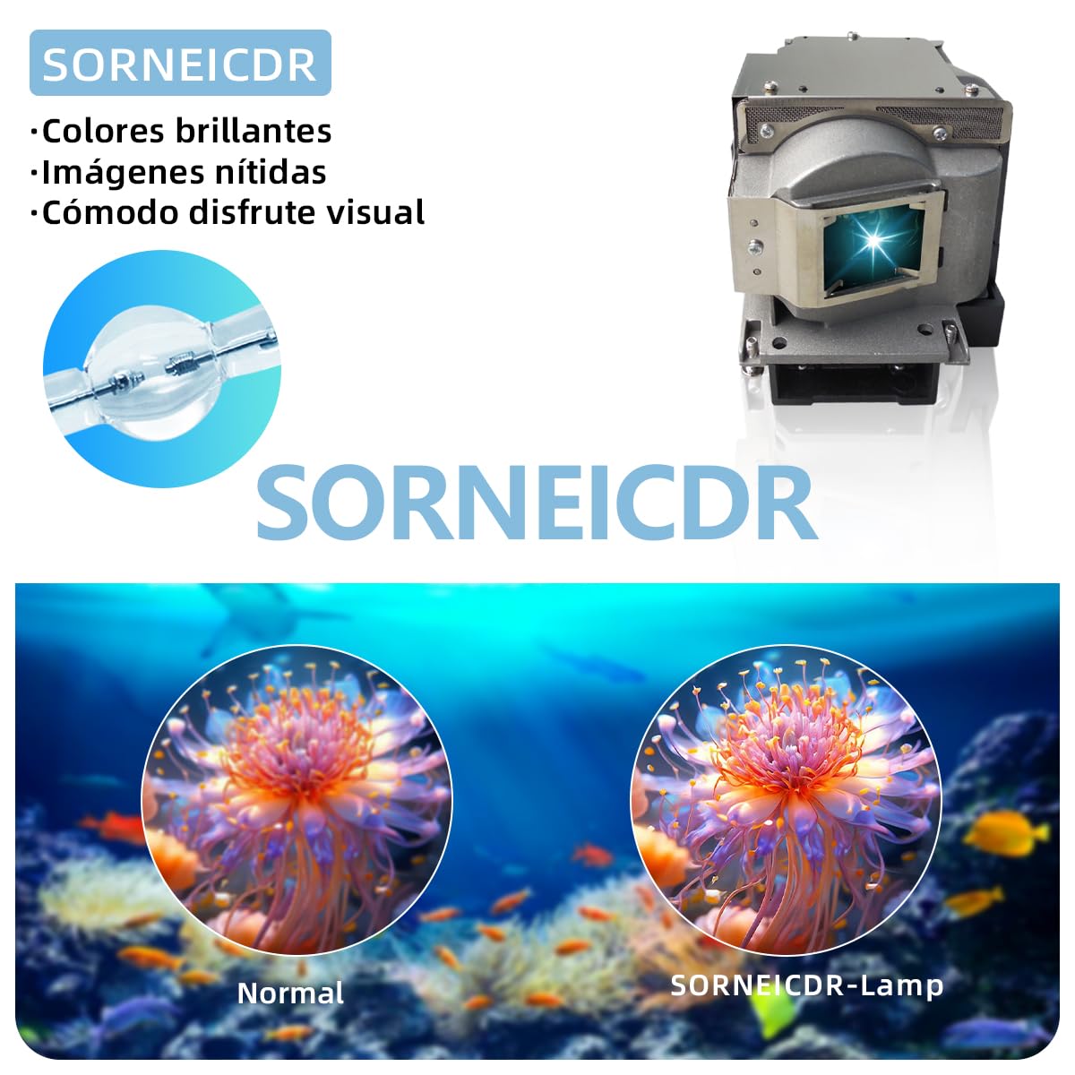 VLT-XD221LP/VLT-XD280LP Lampada proiettore di ricambio con alloggiamento per Mitsubishi SD220U, XD221U, XD221U-ST, XD250U, XD250UST, XD280U Videoproiettore