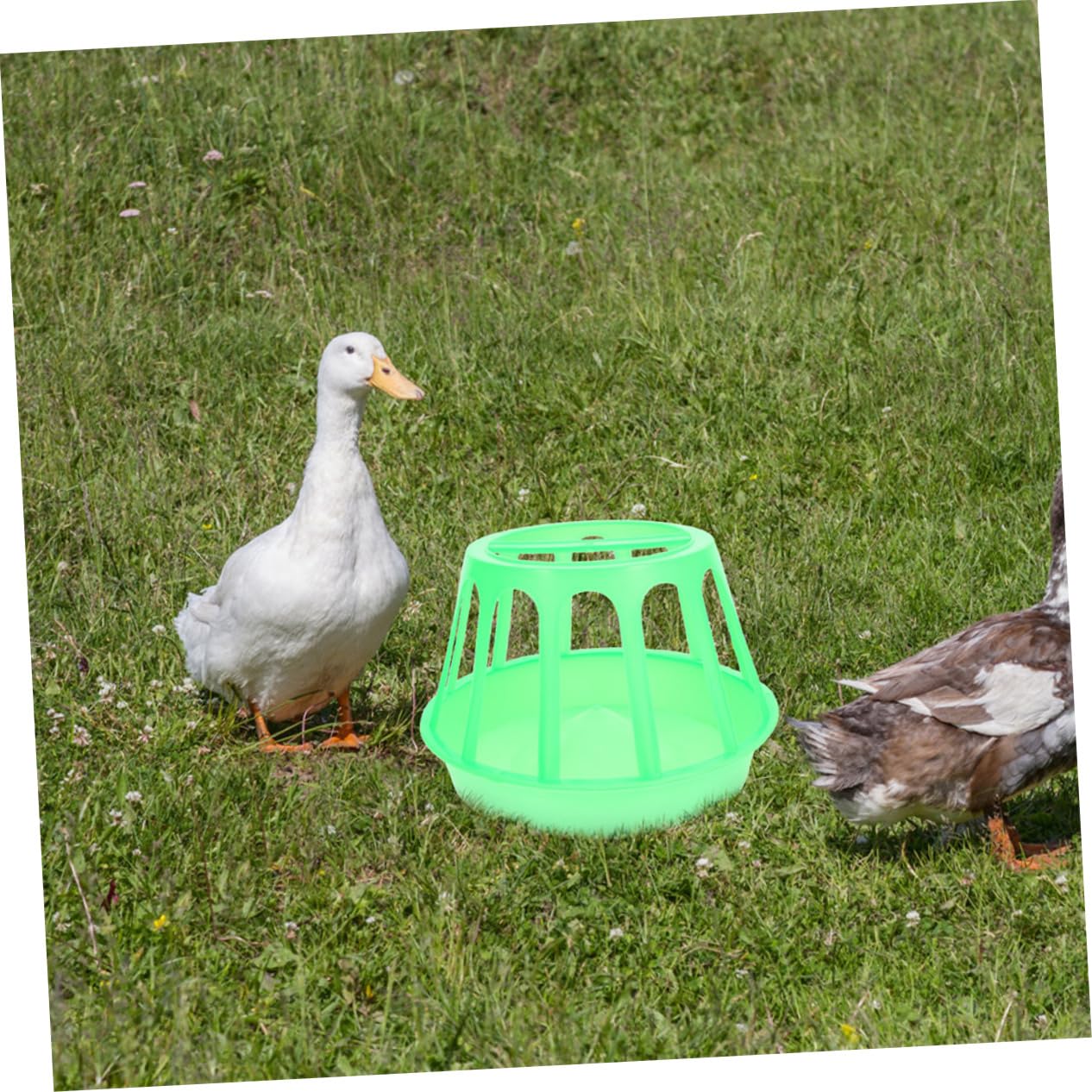 2pezzi Mangiatoia Per Pollame Per Alimenti Design Per e Galline Facile Installare e Stabile Allevamenti Domestici