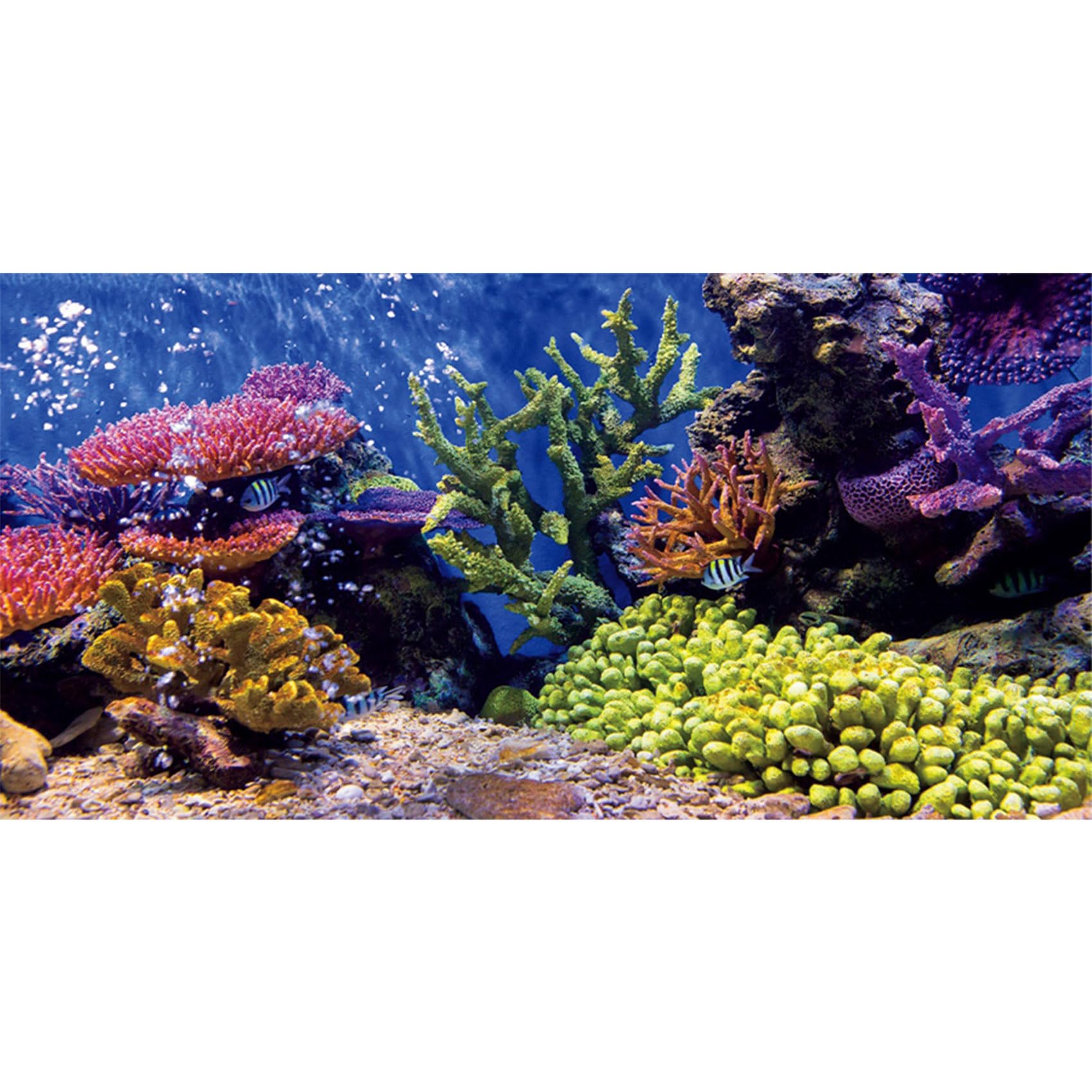 76x46cm Fondo de decoración de Acuario de Vinilo Duradero, telón de Fondo de póster de Tanque de Peces Submarino de Peces Tropicales de Coral