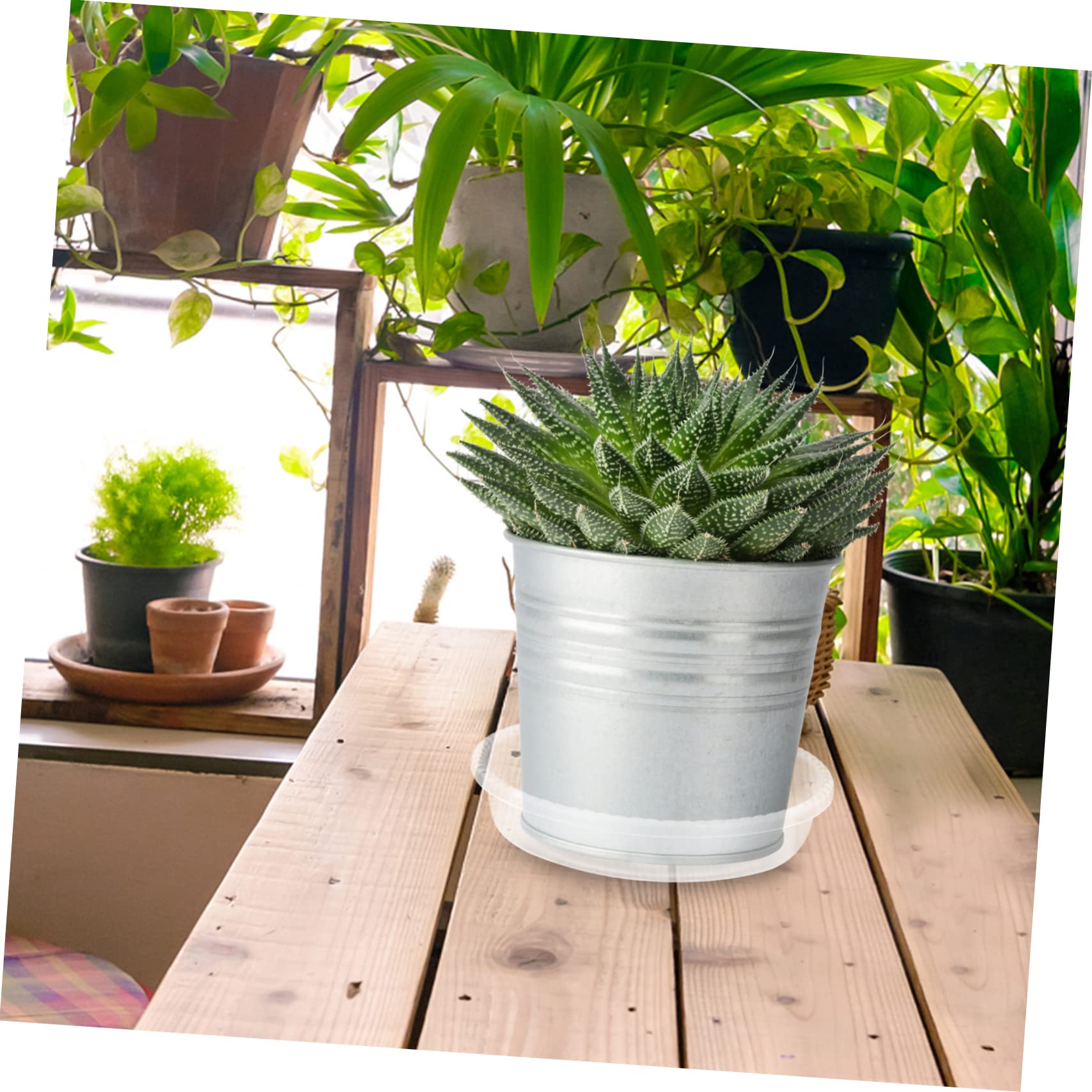 ifundom 30stücke Teiliges Transparenter Blumentopfuntersetzer Runde wasserdichte Kunststoffschalen Für Blumen Und Pflanzgefäße Für Garten Und Zuhause Langlebig Und Leicht Zu Reinigen