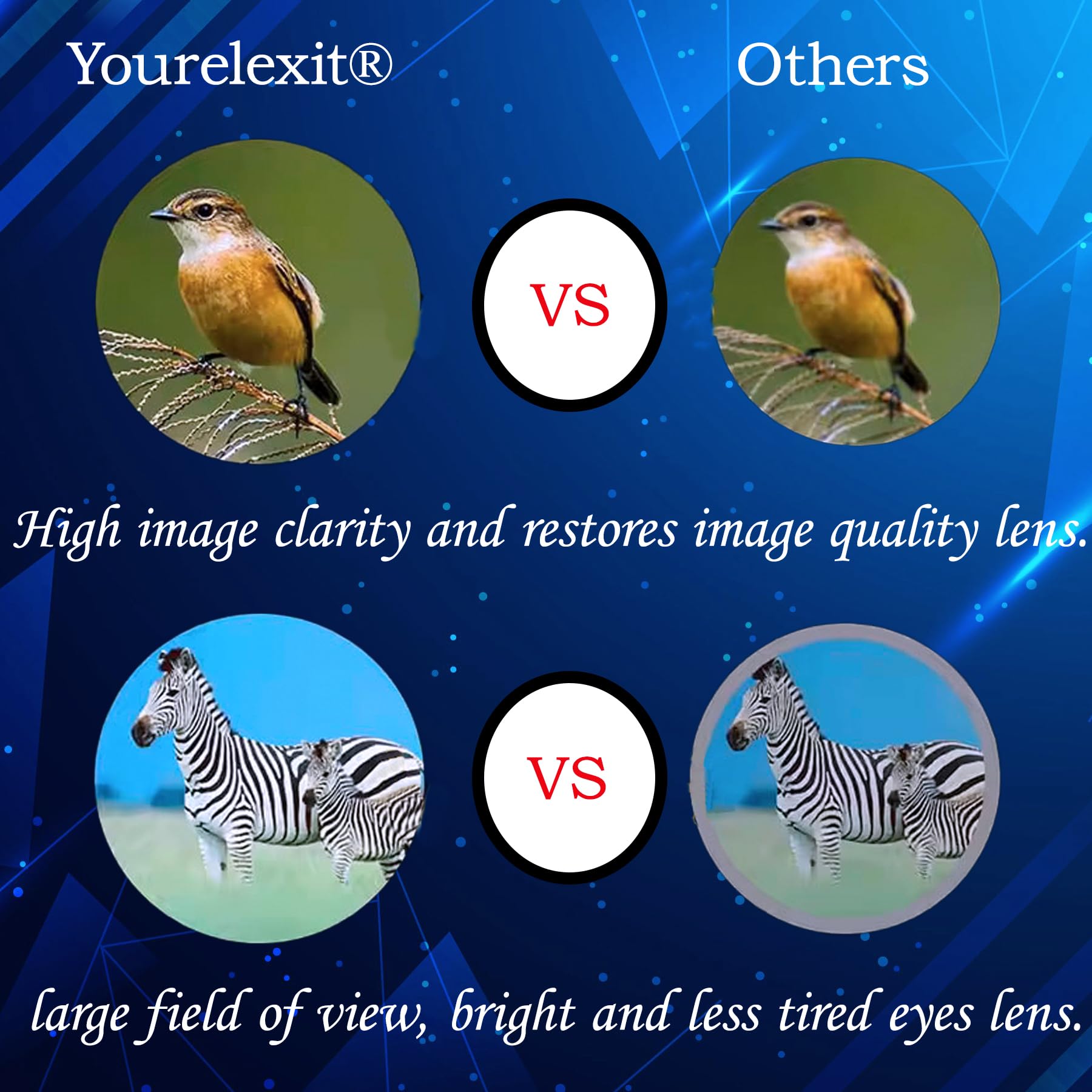 Binoculars with Phone Adapter for Adults, Compact Pocket Travel Binocular for Bird Watching Concert Theater Opera High Powered Electronics Cruise Ship Essentials Norwegian Alaska Hiking Camping Gear