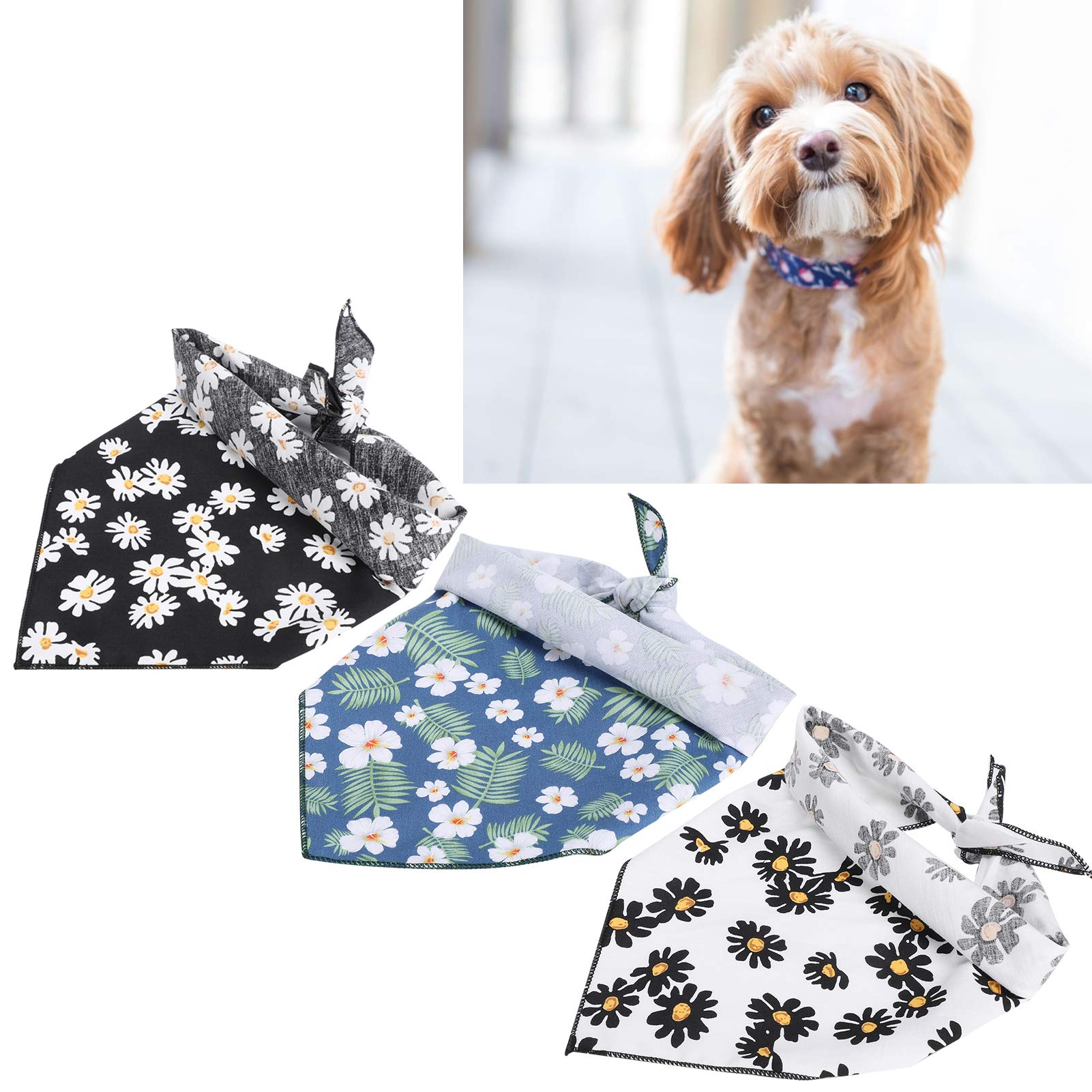 Wendbares Hunde-Geburtstagstuch In Schwarz | Dreieckiges Halsband | Größen S, L, XL | Strapazierfähig & Waschbar