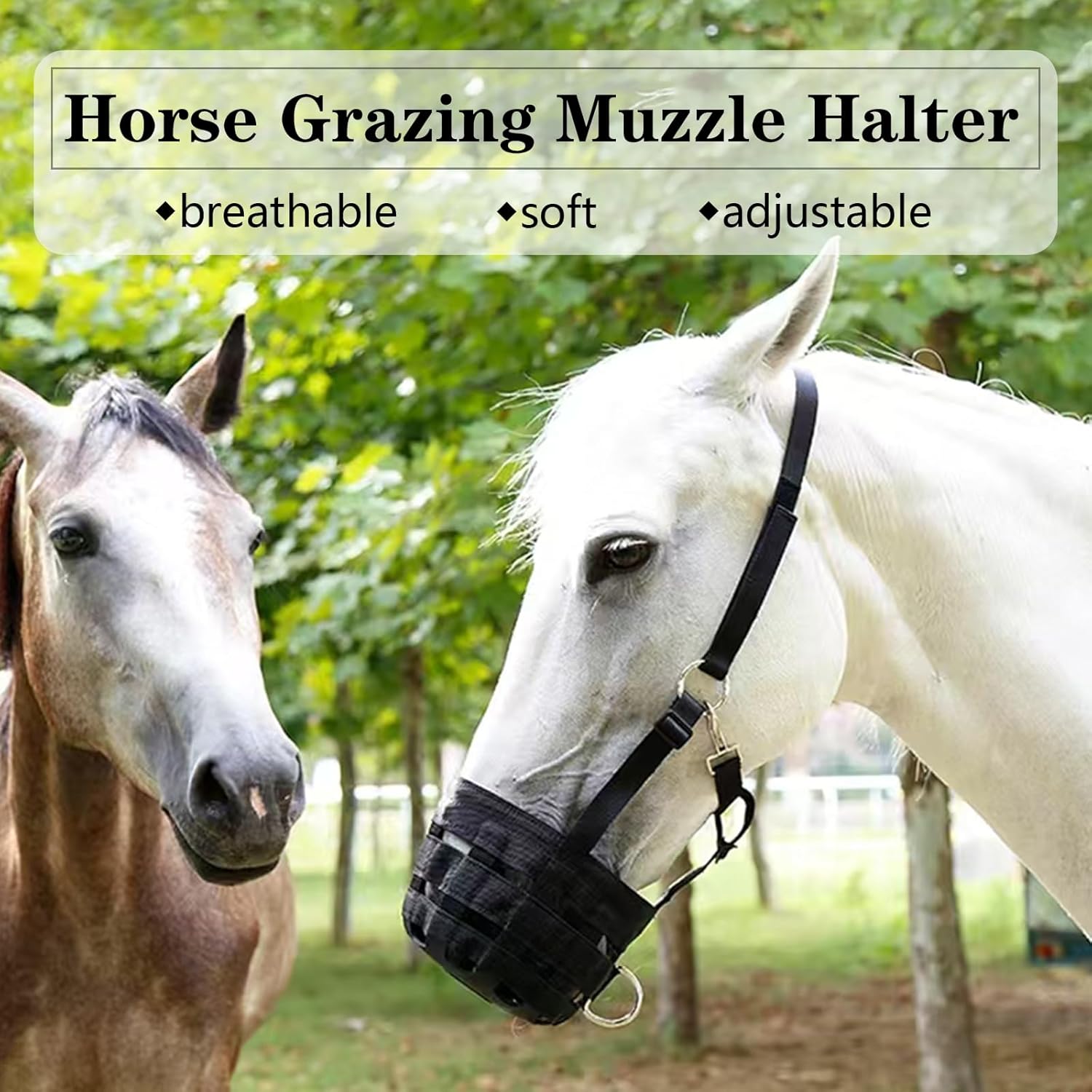 Horse Grazing Muzzle with Adjustable Straps, Durable, Breathable, Comfortable, and Preventative for Laminitis (M)