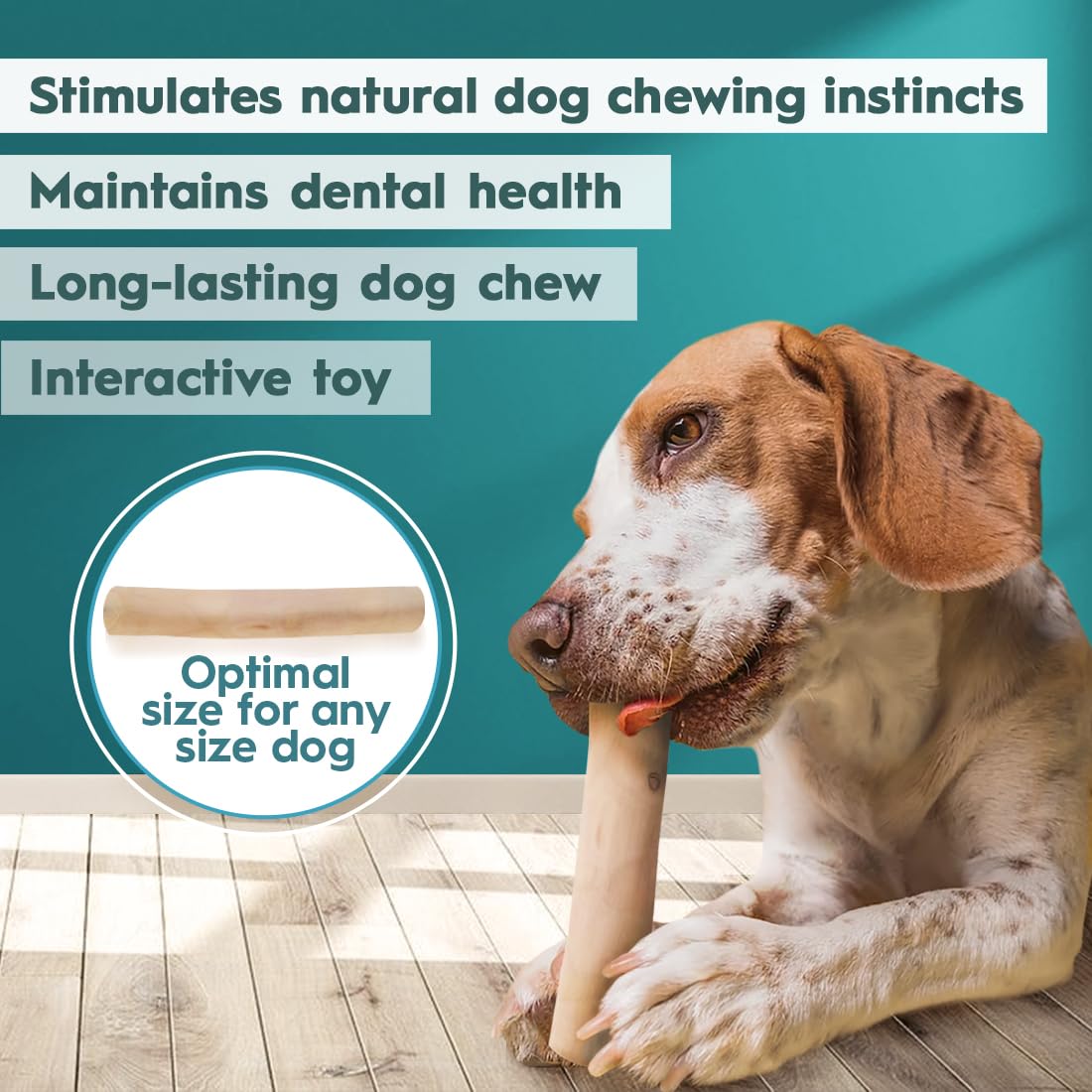 Osso Da Masticare In Legno Di Caff&egrave; Per Cani - Gioco Naturale Antiansia E Antitartaro (Confezione Da 2 Pezzi)