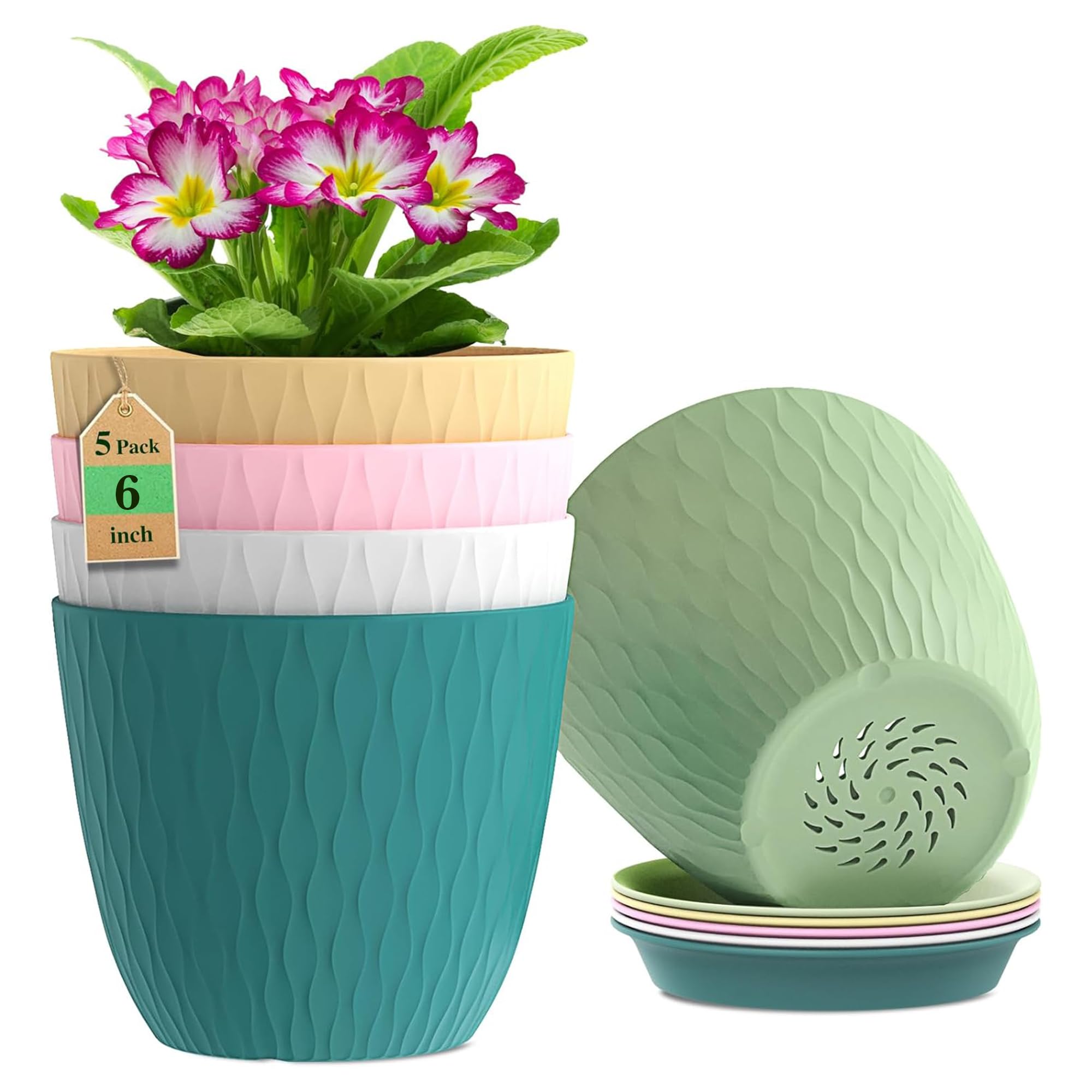 Eightiz (Pack of 5 6 Inch Plastic Flower Pots for Indoor & Outdoor Terrace,Garden Plants Decorative Planters with Drainage Holes & Matching Saucers Durable & Lightweight (Multicolour)