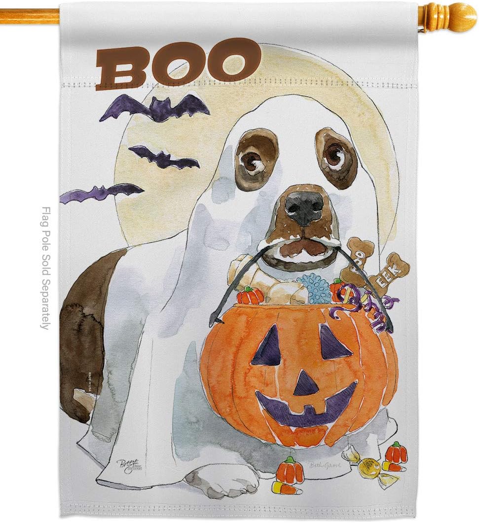 Halloween Boo Doggie House Flag Falltime Witch Trick or Treat Spooky Night Black Cat Season Autumntime Pumpkin Small Decorative Gift Yard Banner Made In USA 28 X 40