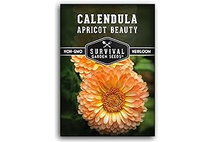 Calendula Orange Beauty SeedPacket: Grow Your Own Marigolds!
