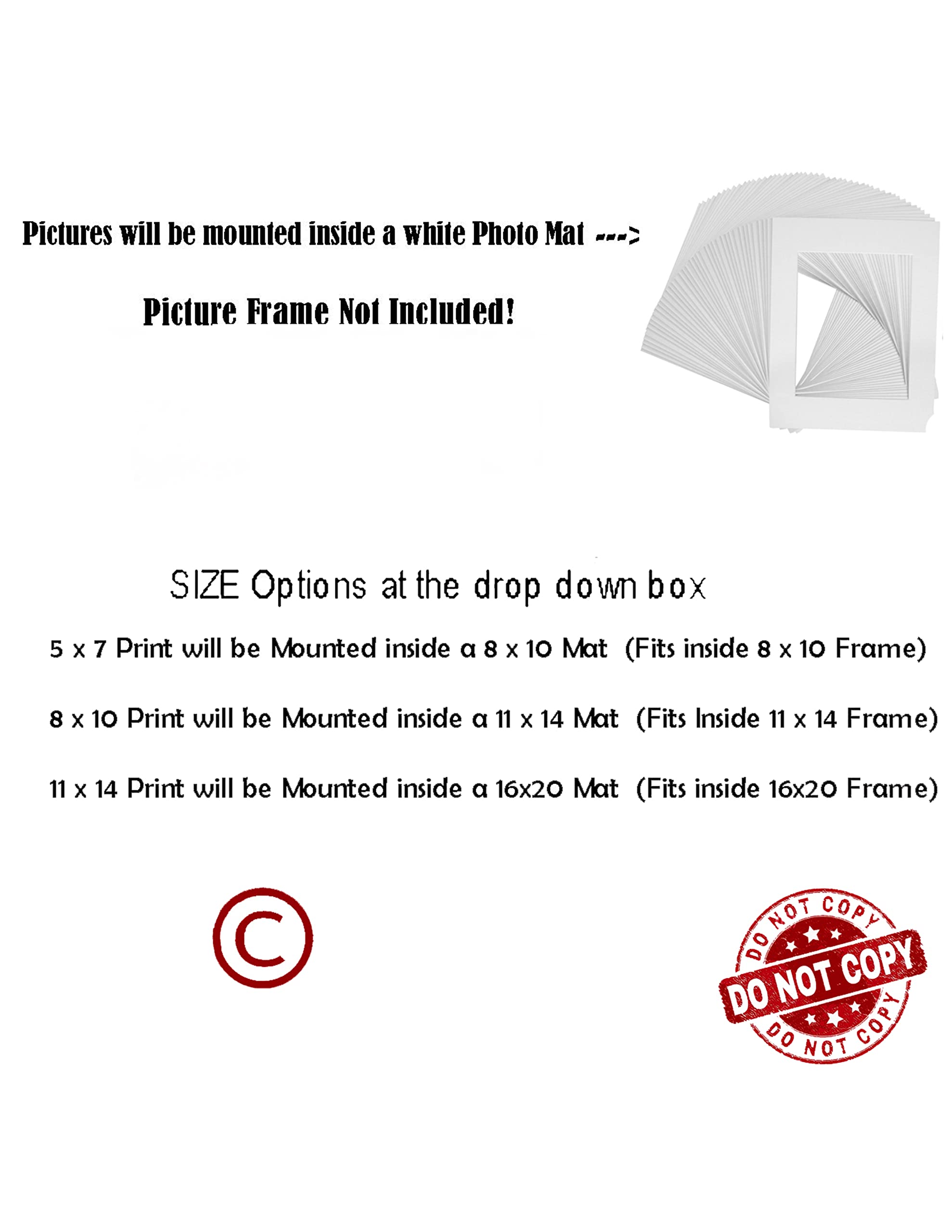 Brown Beige Red Barn Outhouse Photography Photo 8x10 Photo with 11x14 Mat