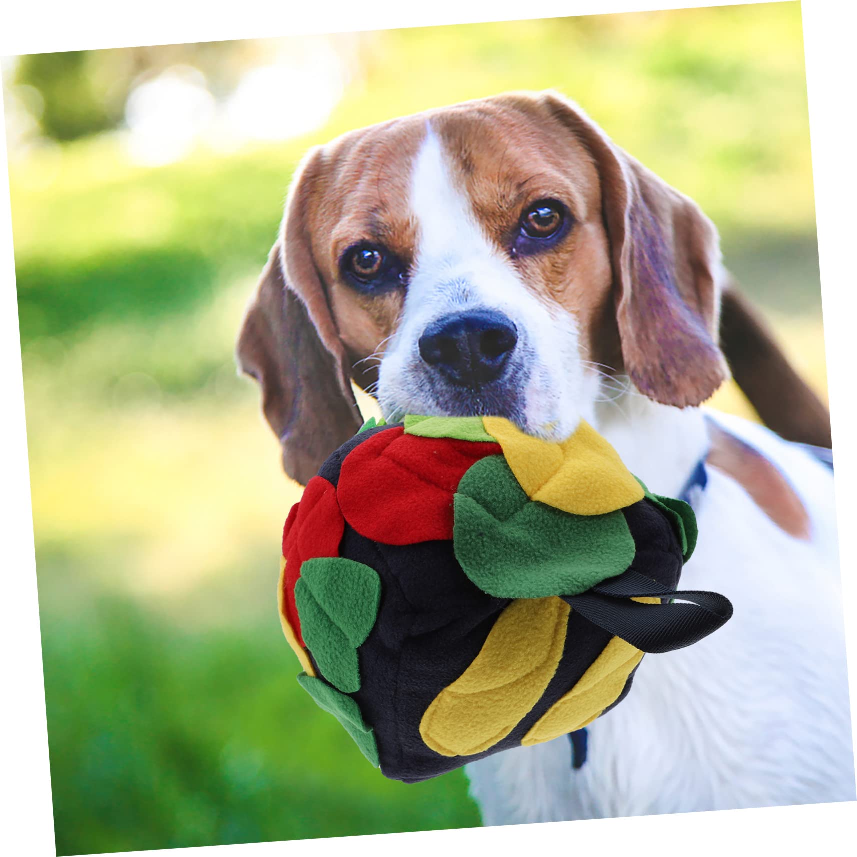 Sosoport 3stücke Hundeschnüffelball Aus Weichem Material Interaktives Futterspielzeug Zur Selbstbeschäftigung Fördert Das Schnüffeln Gewichtsreduktion Für Kleine Und Große Hunde