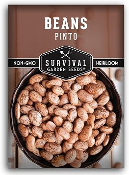 Pinto Bean Seeds for Planting - Survival Garden Seeds (1 Pack)