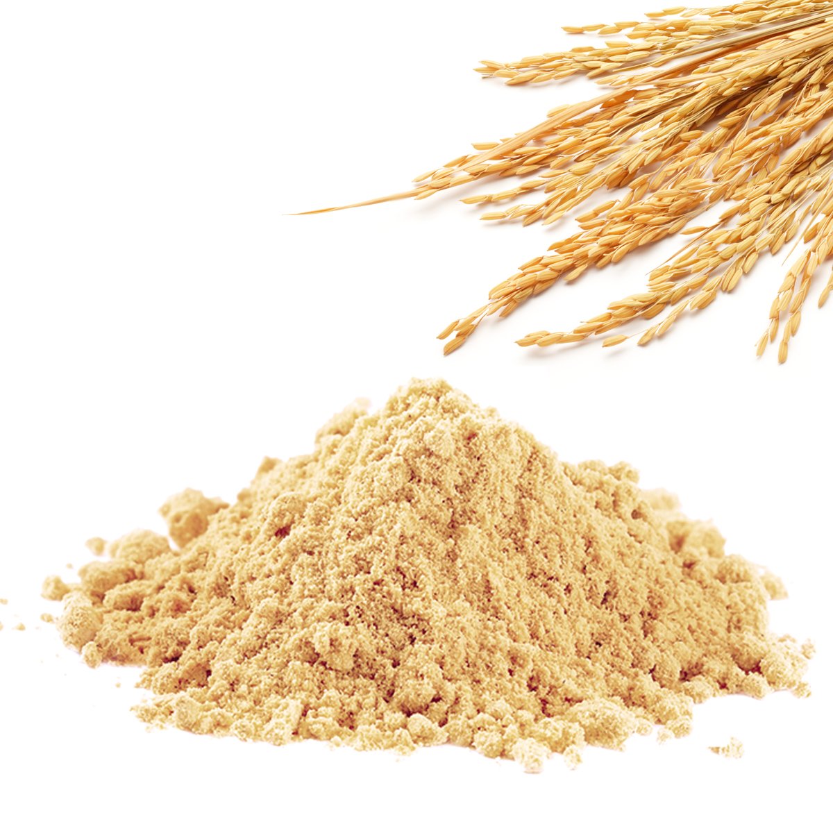 Bio Reisprotein aus EU-Herstellung - 1000g, geprüfte Qualität, schonende Verarbeitung, hoher Proteingehalt