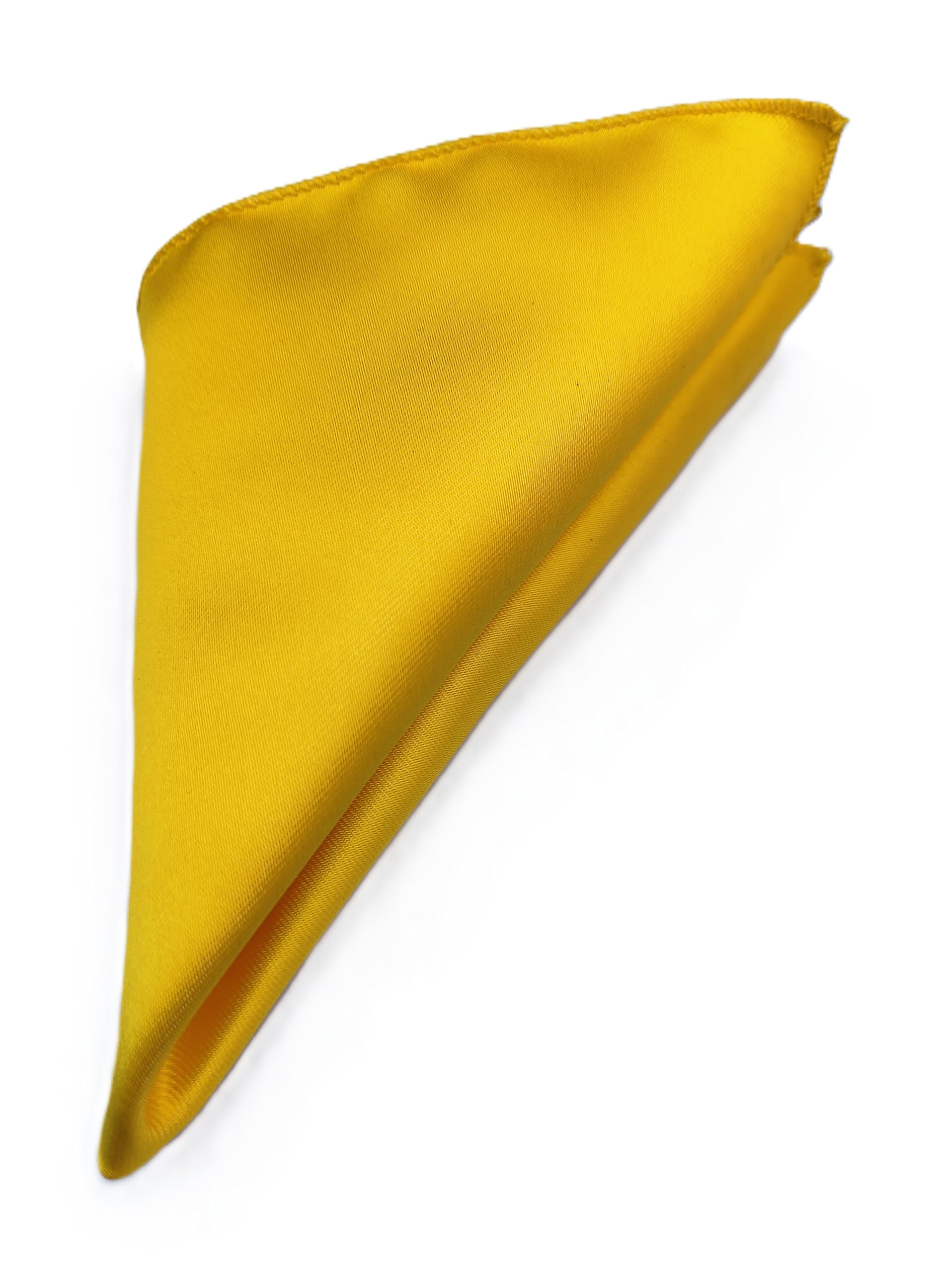 France Men's Pocket Square handkerchief soiled and Paisley Self-Design Satin Free Size