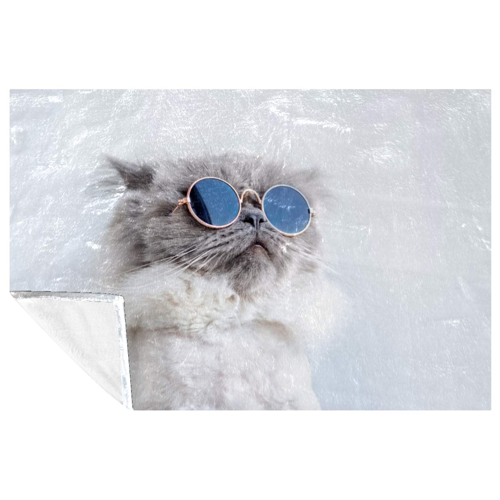 Couverture motif chat 150x100 cm douce et chaude pour lit et canapé