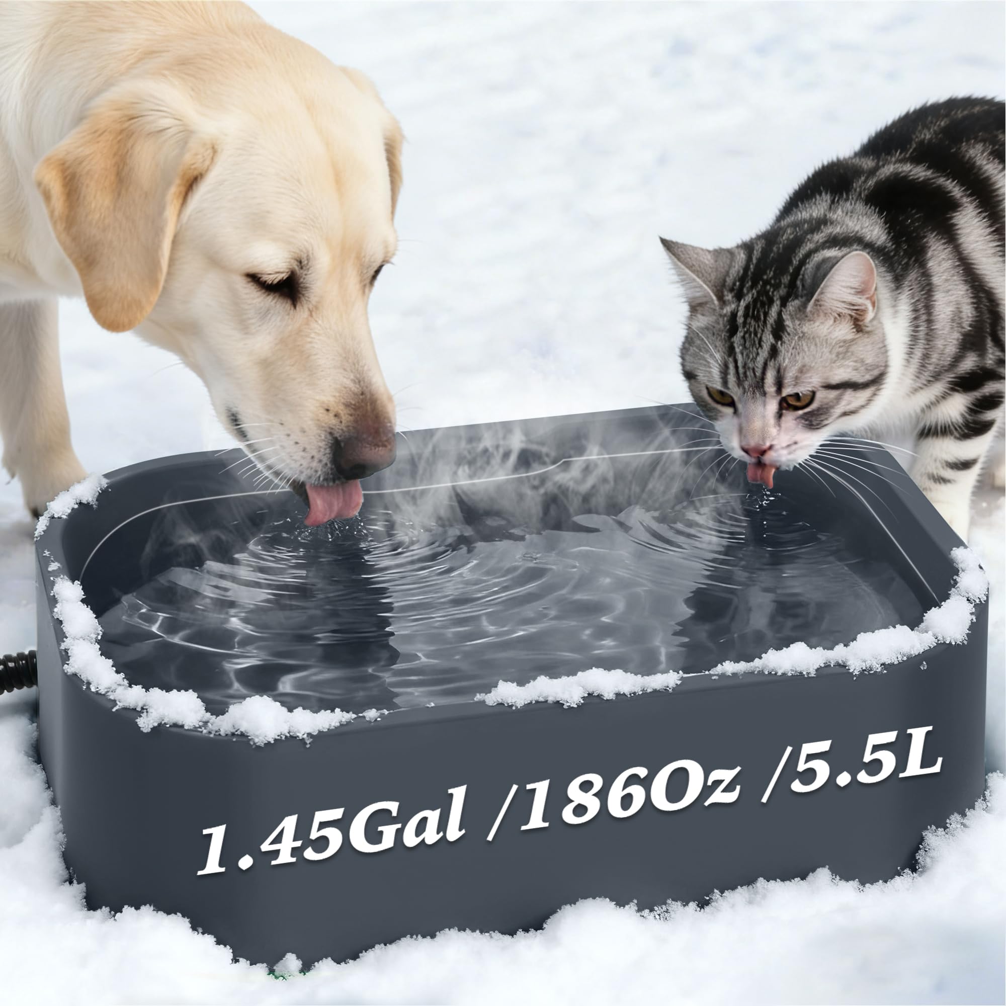 Ciotola per acqua riscaldata da 5,5 l, per cani e gatti, ciotola riscaldata per animali domestici con riscaldamento automatico, base antiscivolo, cavo anti-masticazione, ciotola per cani