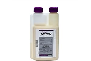 Onslaught Fastcap Spider and Scorpion Insecticide