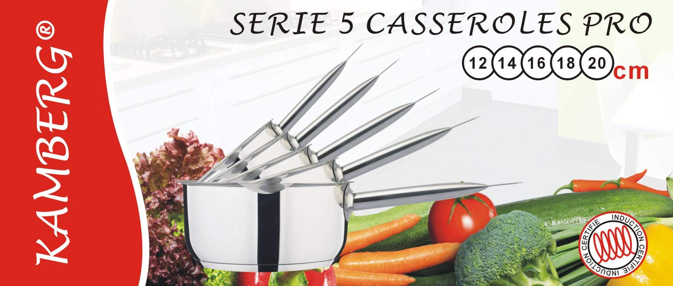 Kamberg - Gamme Pro - Batterie 5 Casseroles inox 12/14/16/18/20 cm - Acier Inoxydable Haute Qualité - Poignée anti chaleur Argent - Tous Feux dont Induction - 0008077