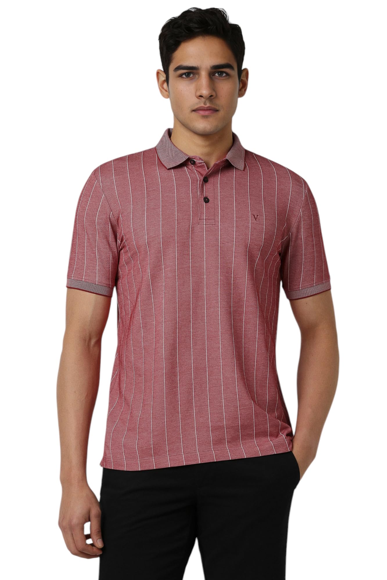 van heusen Men T-Shirt-picture-45