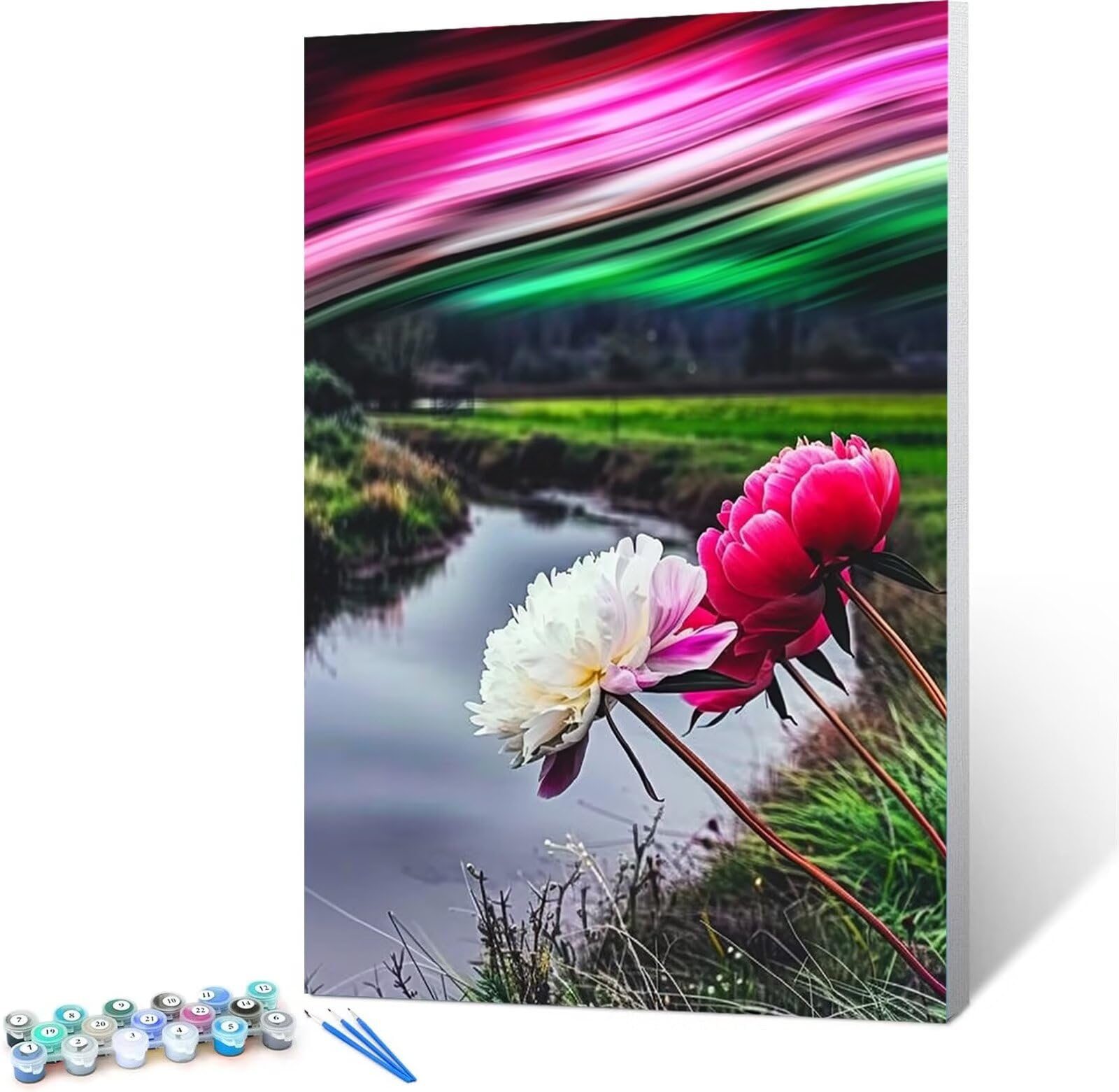 Peepezo DIY Malen nach Zahlen Erwachsene Pfingstrosen Erwachsene Malen nach Zahlen Kits auf Leinwand Garten Malen nach Zahlen Kunsthandwerk Geschenk für Home Wall Deco 60x80cm (mit Rahmen)