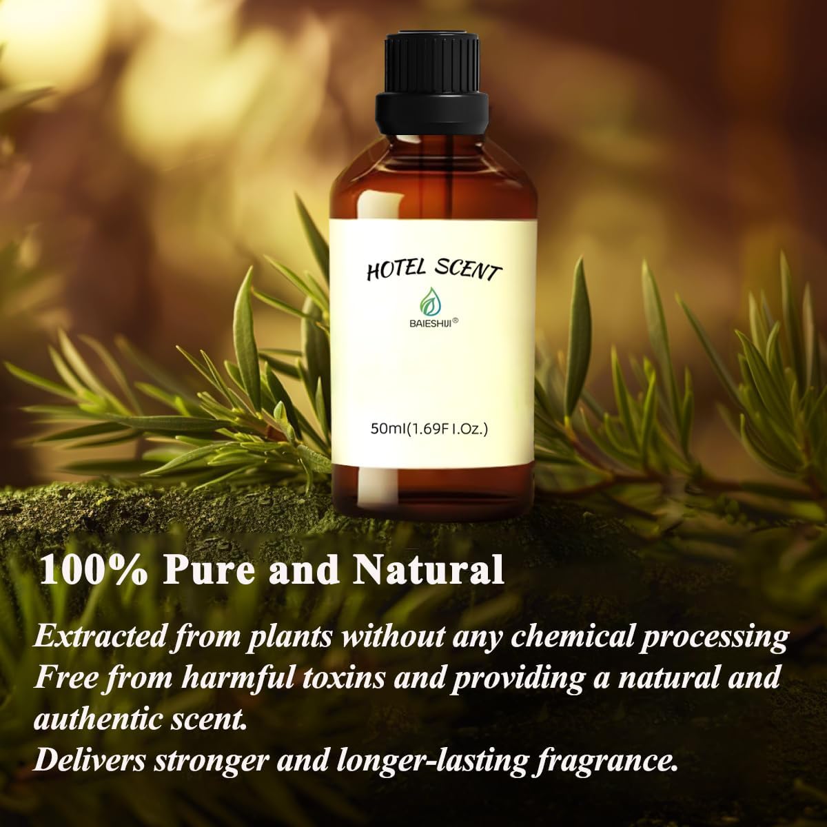 Santal Scent Essential Oil, Hotel Diffuser Oil, 1.69 Fl Oz Pure Aromatherapy Fragrances, Christmas Gift Luxury Scents with Sandalwood, Cedarwood and Musk for Diffuser - Image 4