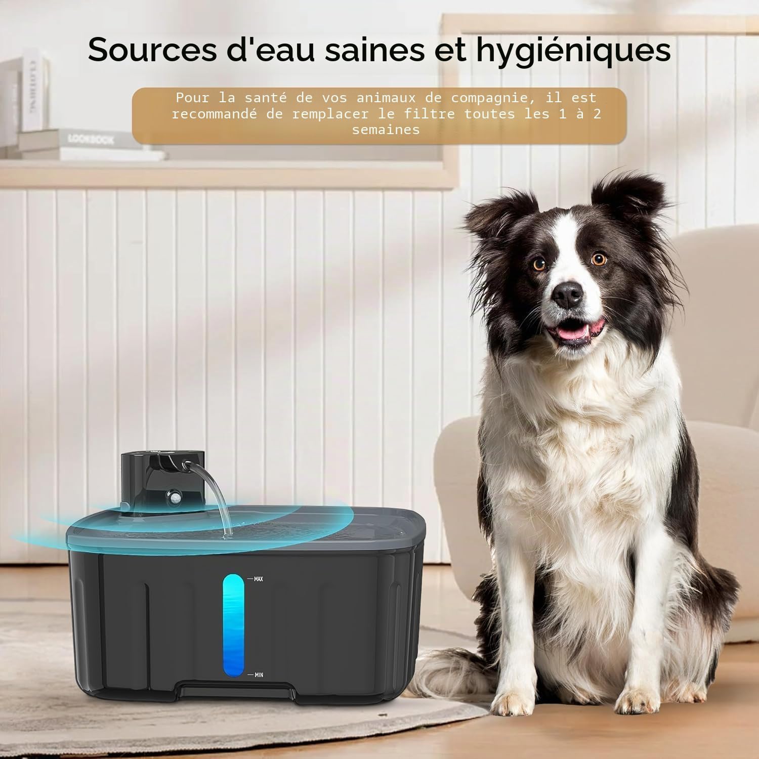 Fontaine pour chiens sans fil, 5200 mAh, capacité de type C, charge 30 jours pour le mode induction, 45 jours pour le mode à temps, convient pour fontaine pour chiens B0C6G792H8