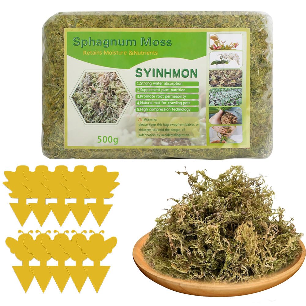 500 g muschio per orchidee, muschio sfagno, sphagnum moss con 10 trappole mosche, substrato per orchidee, emendamento del suolo di giardinaggio e mezzi di terreno per piante carnivore