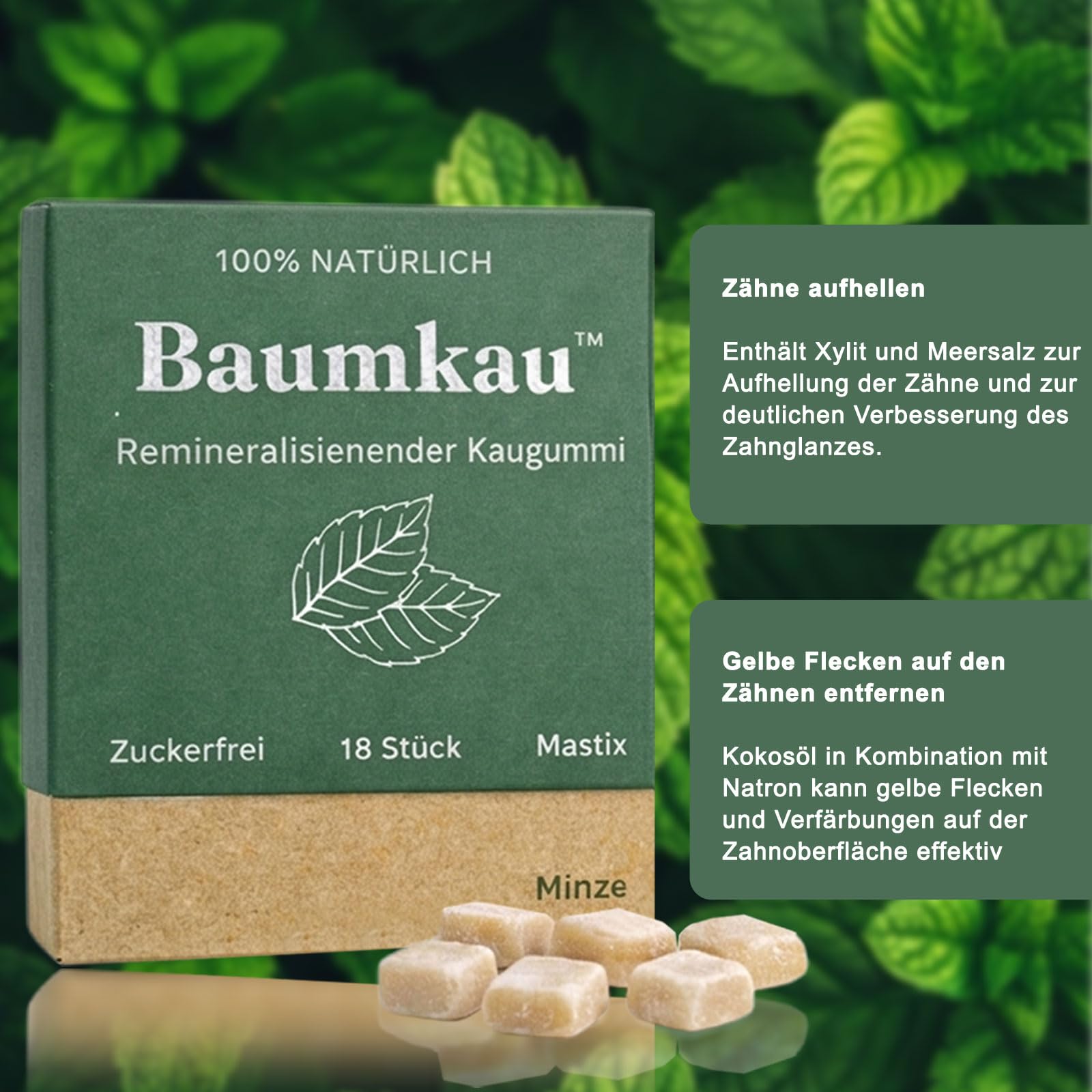 Baumkau Remineralisierender Kaugummi, 18 Stück Baukau Kaugummi, Zuckerfrei Kaugummis, Frischer Atem und Emailschutz, Sanft und Nicht Reizend, für Empfindliche Zähne Geeignet, Minze (1 Box)