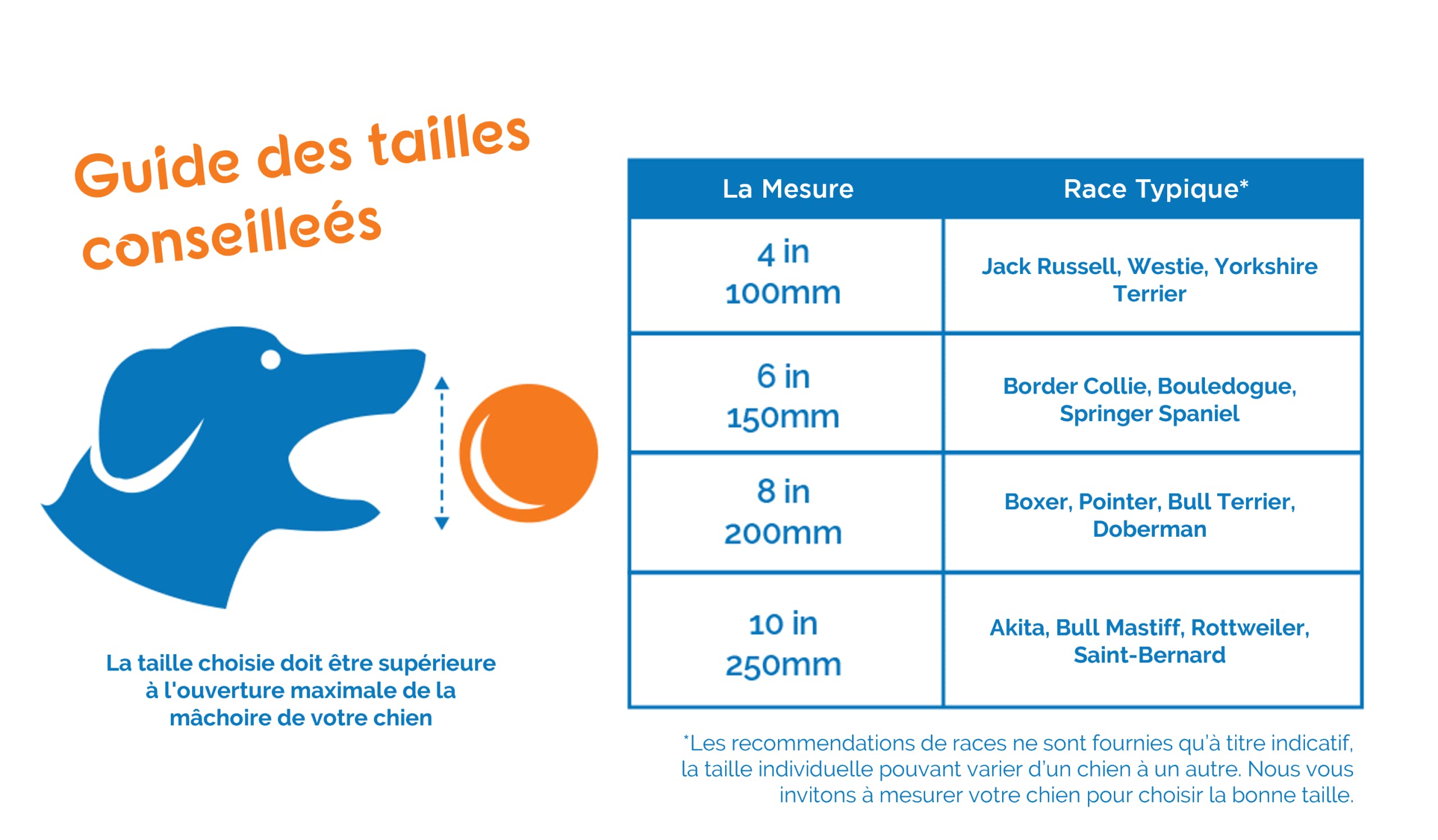 BOOMER BALLE - Balle pour Chien Quasiment Indestructible, Jouet Résistant pour Chien, La Balle Flotte Sur L'eau et est Idéale pour Les Chiens Énergiques, 20cm, Envoyé en Rouge ou en Bleu