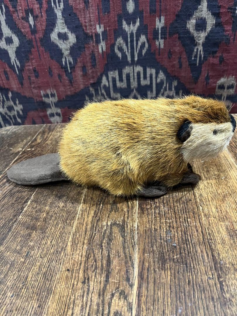 Amazon.co.jp: SUPER BEAVER スーパービーバー 吉徳 通販 ぬいぐるみ